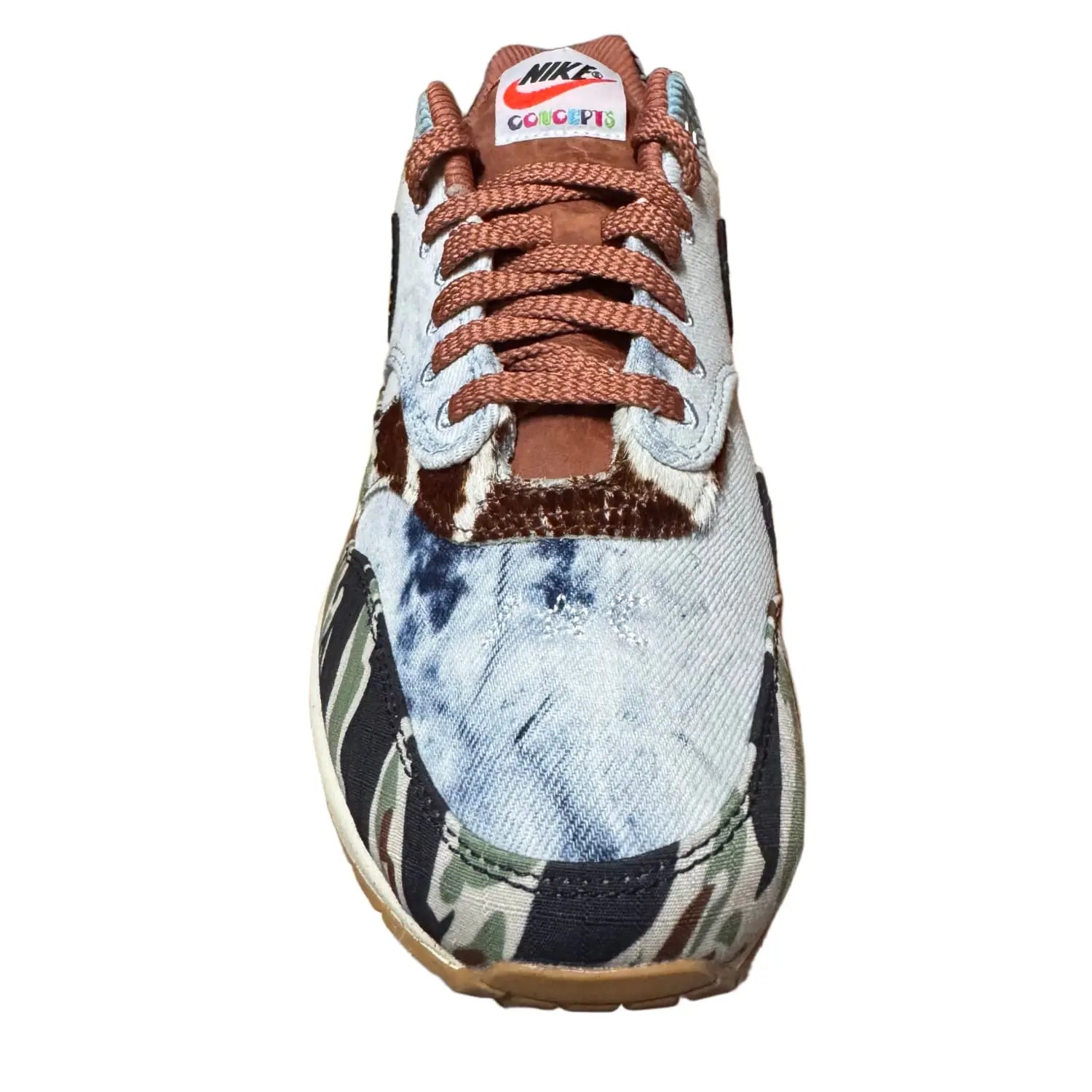 Nike Air Max 1 SP Concepts Heavy