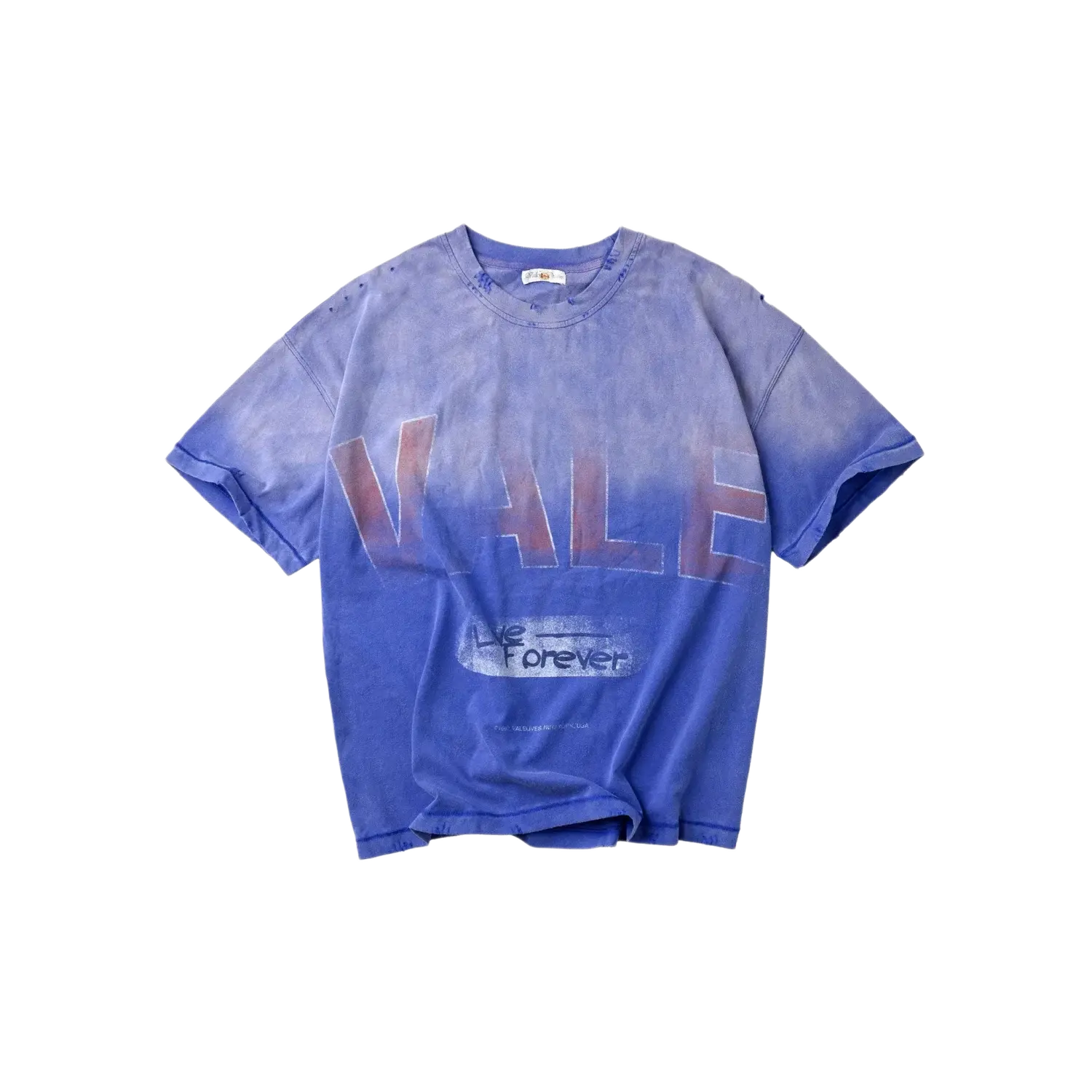 Vale Forever Logo Tee Blue