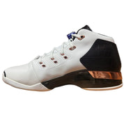 Jordan 17 Retro Copper (2016)
