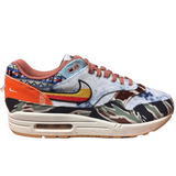 Nike Air Max 1 SP Concepts Heavy