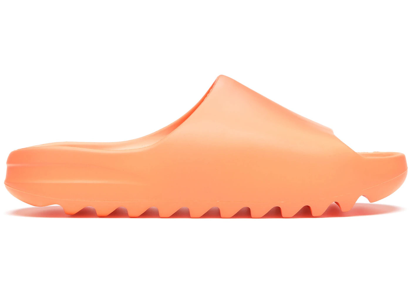 https://res.cloudinary.com/dyql5hig8/image/upload/v1758138708/store_OErb8CJxMgCDfNtYXvuCW/uploads/t0ubhr5okkxss7ntct6z.webp