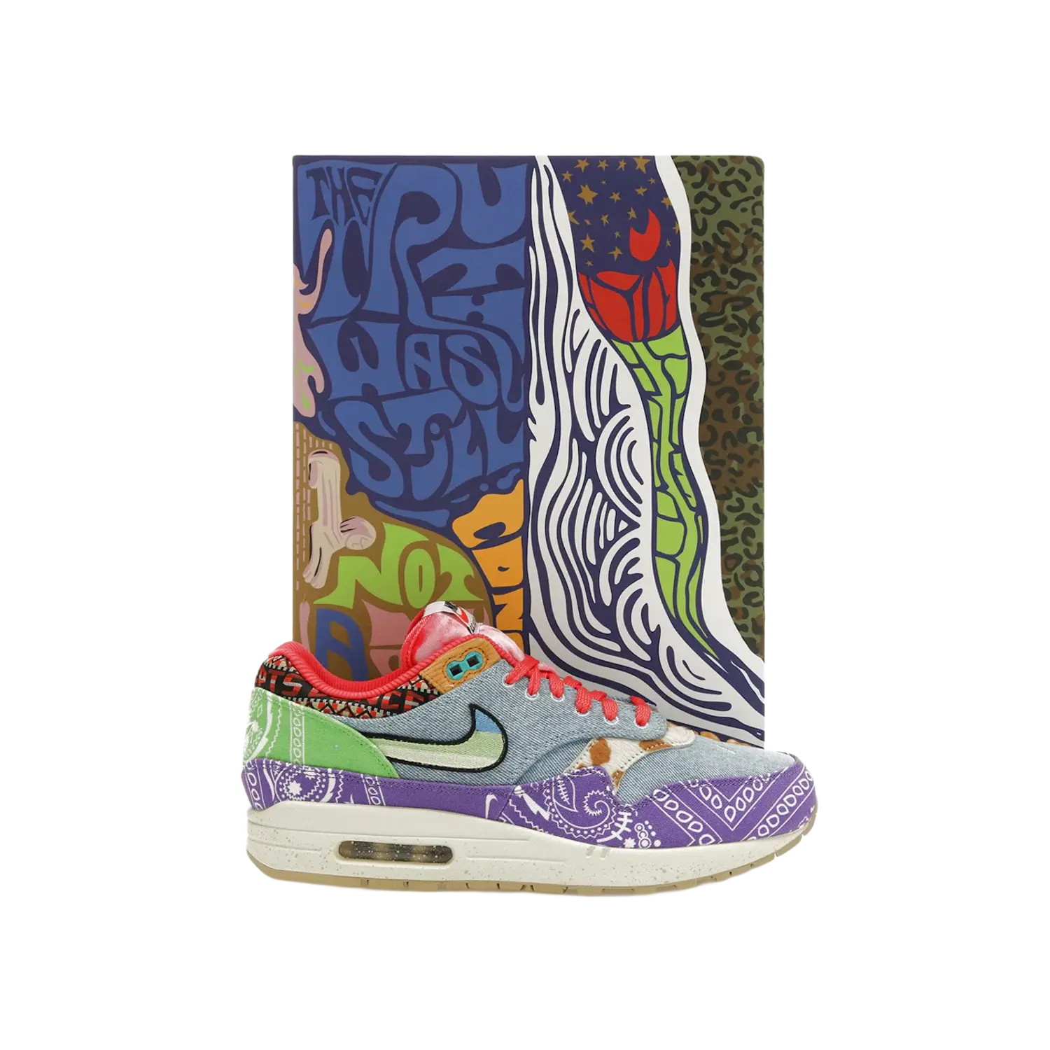 Nike Air Max 1 SP Concepts Far Out (Special Box)