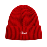 Mini Logo Beanie Red