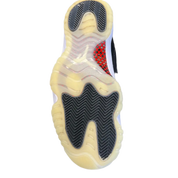 Jordan 11 Retro Low 72-10