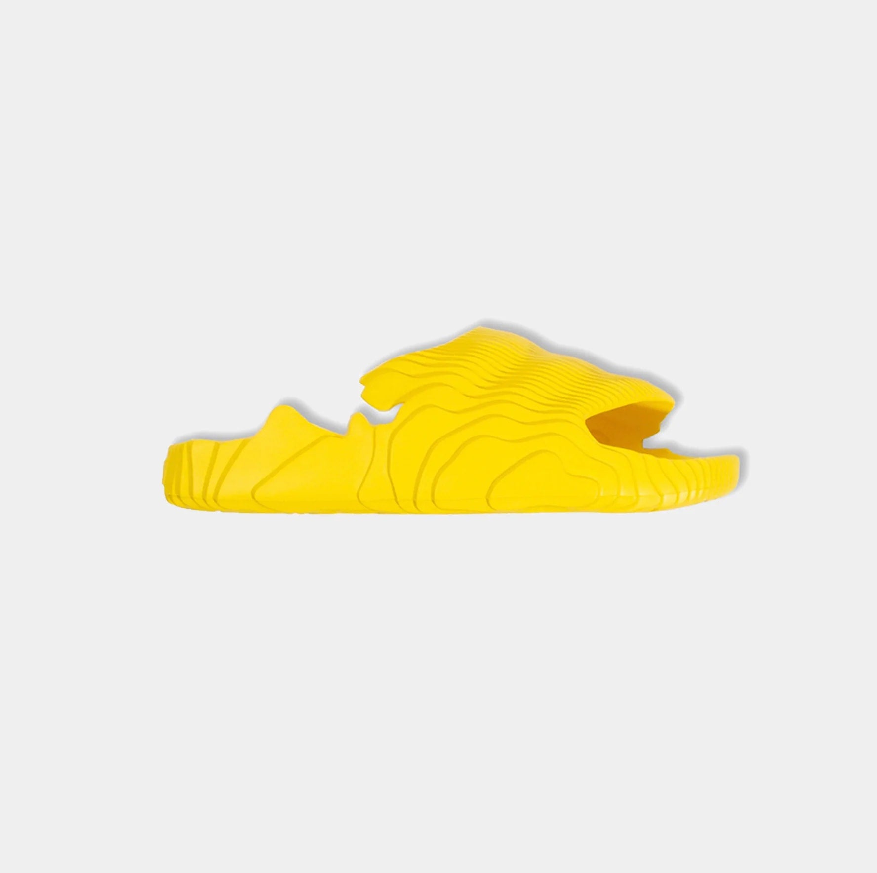 https://res.cloudinary.com/dyql5hig8/image/upload/v1760397723/ugxledn9bxn7hgxg1f37.jpg