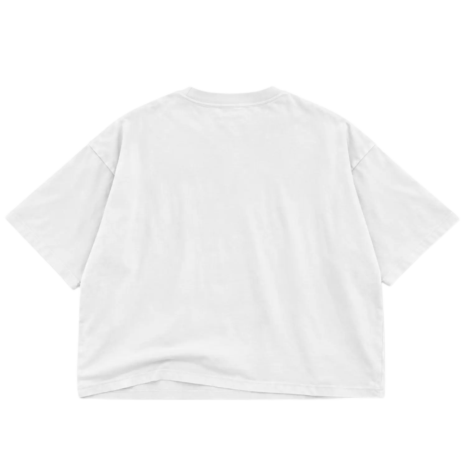 Private Archives Guardian Angel Drop Crop Tee White