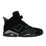 Jordan 6 Retro Cap and Gown